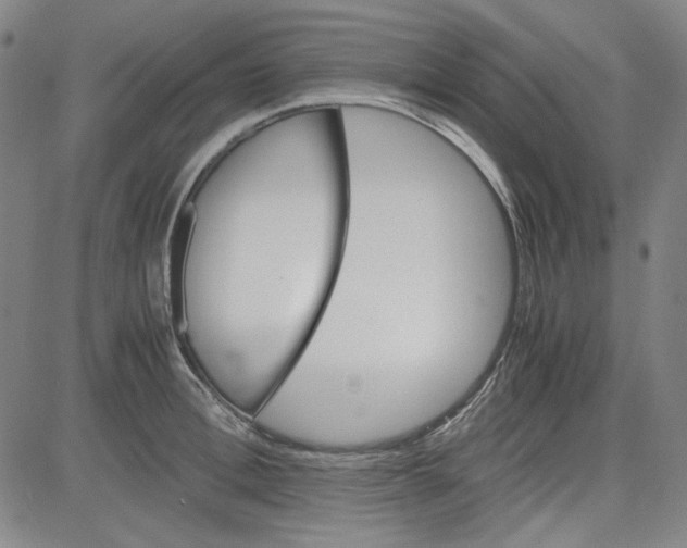 X0000080810996200701051145