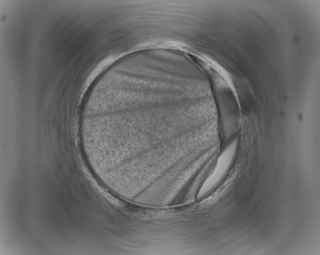 X0000080810997200701051145