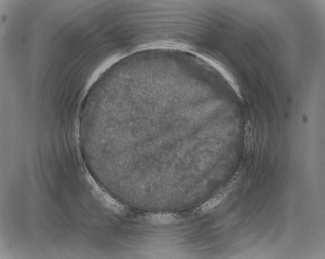 X0000080810998200701051145