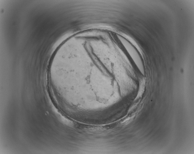 X0000080810999200701051145