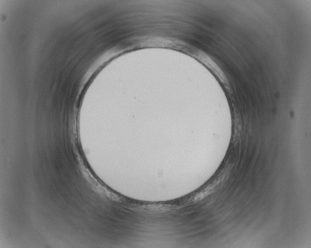 X0000080811000200701051145