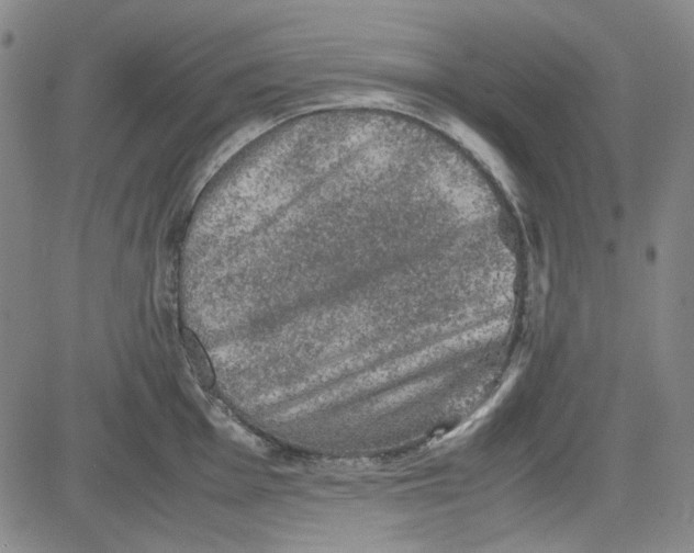 X0000080811001200701051145