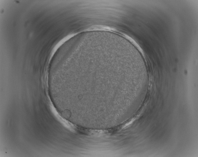 X0000080811003200701051145