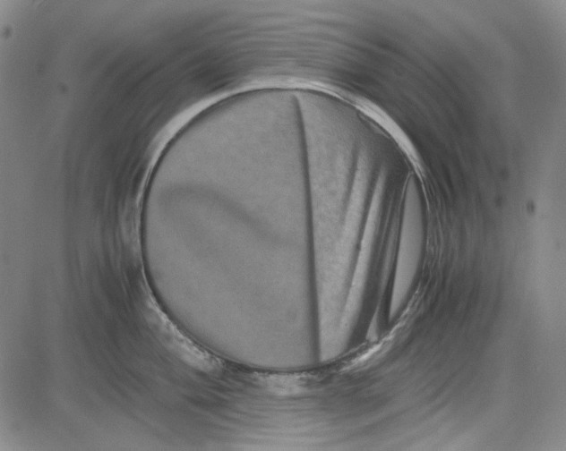 X0000080811004200701051145