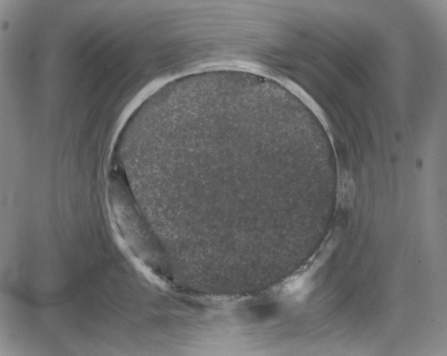 X0000080811005200701051145