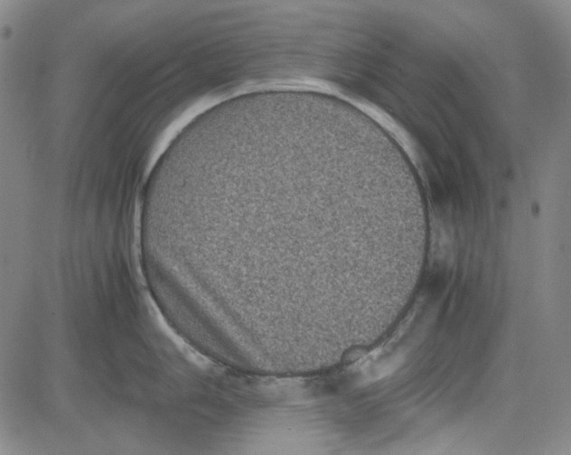 X0000080811006200701051145