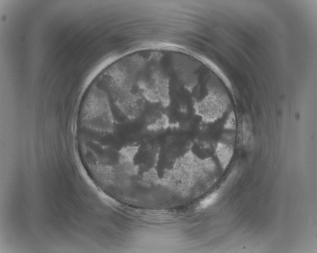 X0000080811007200701051145