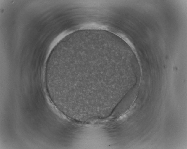 X0000080811008200701051145