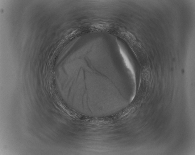 X0000080811009200701051145