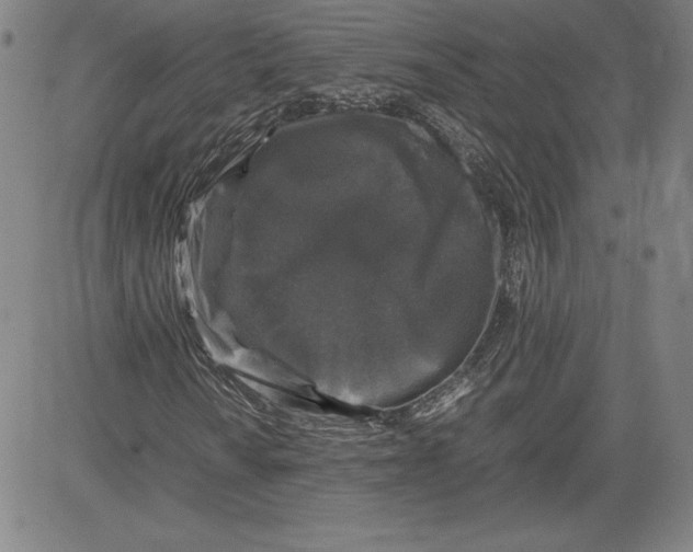 X0000080811010200701051145