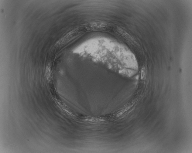 X0000080811011200701051145