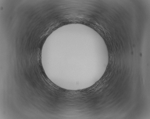 X0000080811012200701051145