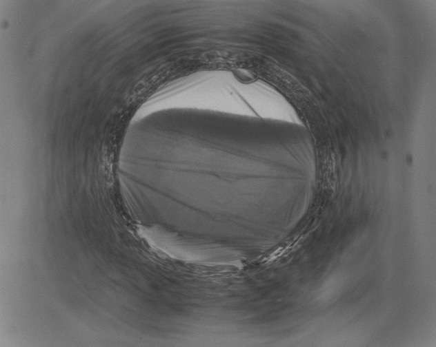 X0000080811013200701051145