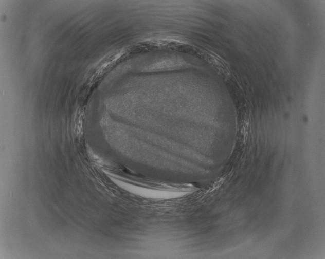 X0000080811014200701051145