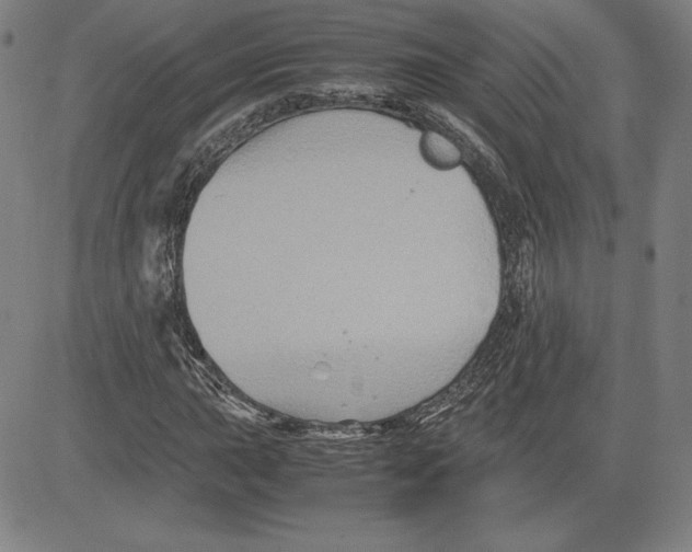 X0000080811015200701051145