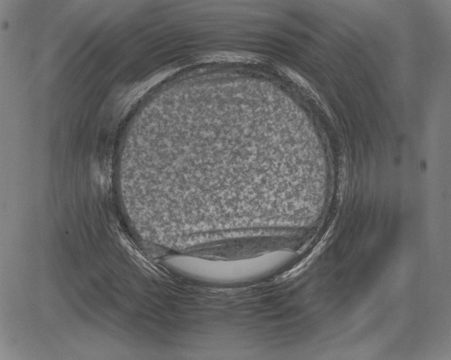 X0000080811017200701051145