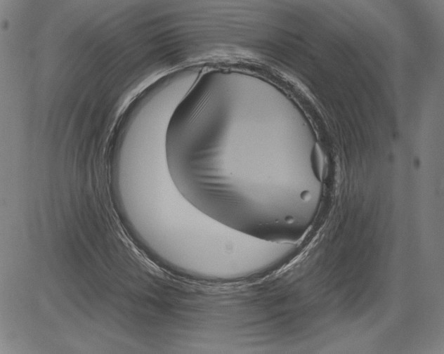 X0000080811018200701051145