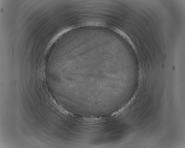 X0000080811019200701051145