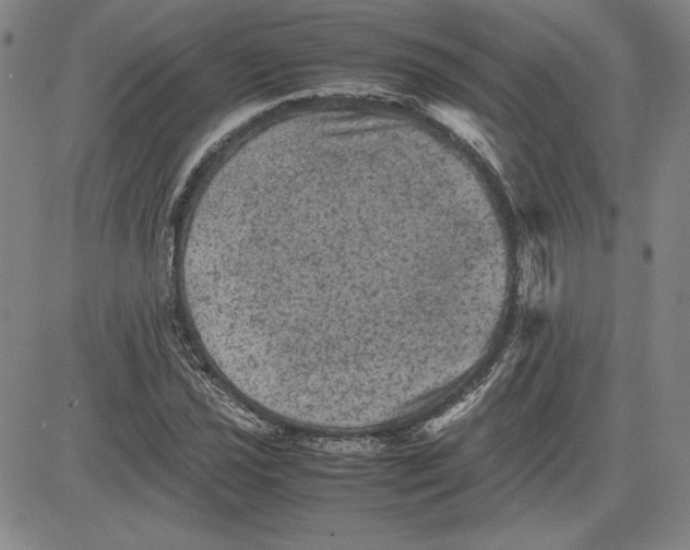 X0000080811021200701051145