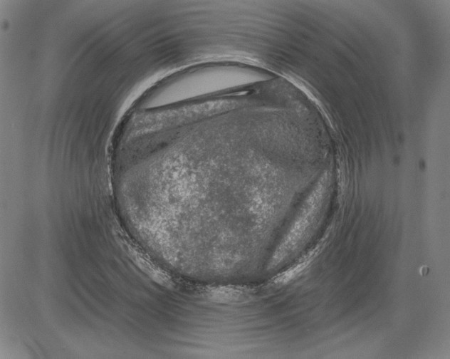 X0000080811022200701051145