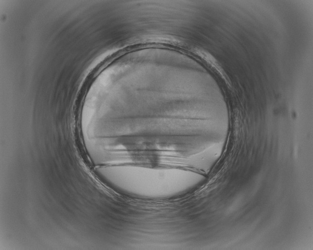 X0000080811024200701051145