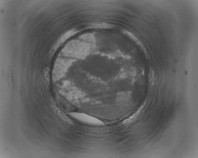 X0000080811025200701051145