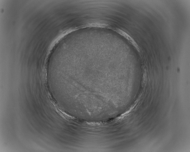 X0000080811027200701051145