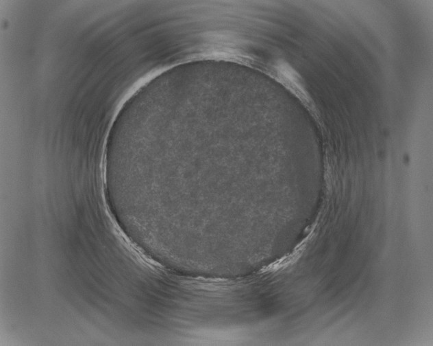 X0000080811028200701051145