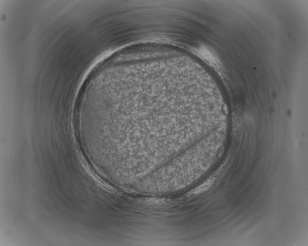 X0000080811029200701051145