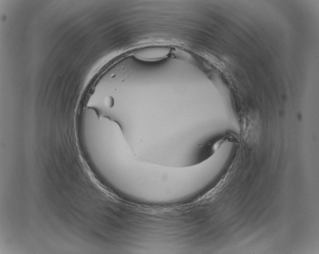 X0000080811030200701051145