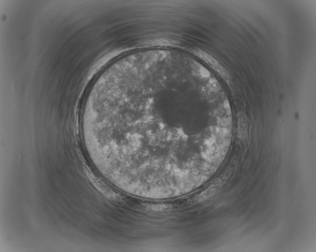 X0000080811031200701051145