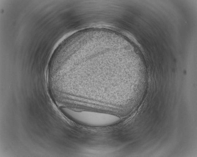 X0000080811032200701051145