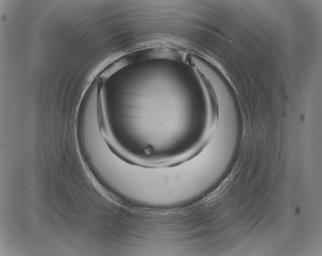 X0000080811034200701051145