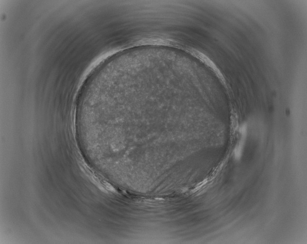 X0000080811035200701051145