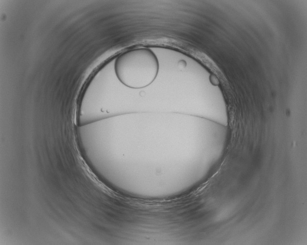 X0000080811036200701051145