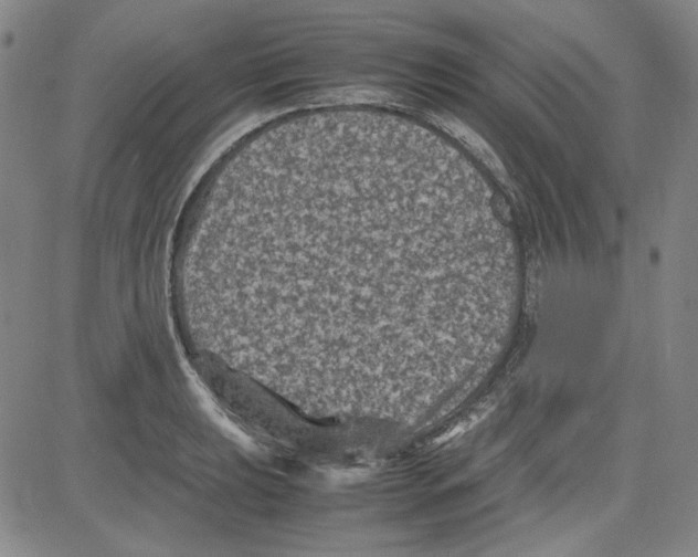 X0000080811039200701051145