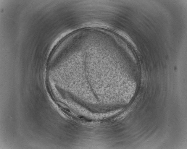 X0000080811040200701051145