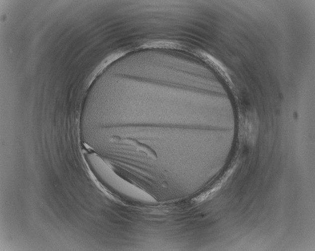 X0000080811041200701051145