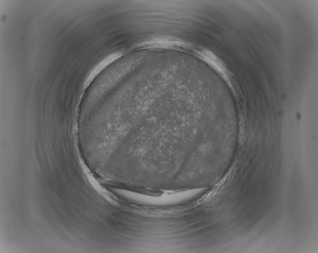 X0000080811042200701051145