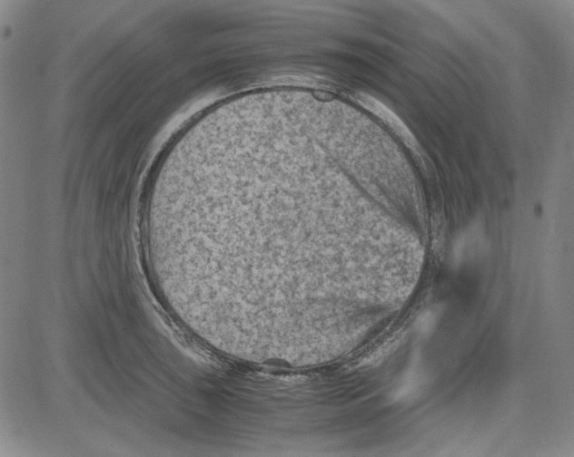 X0000080811043200701051145