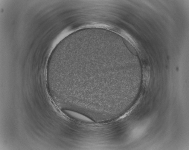 X0000080811044200701051145