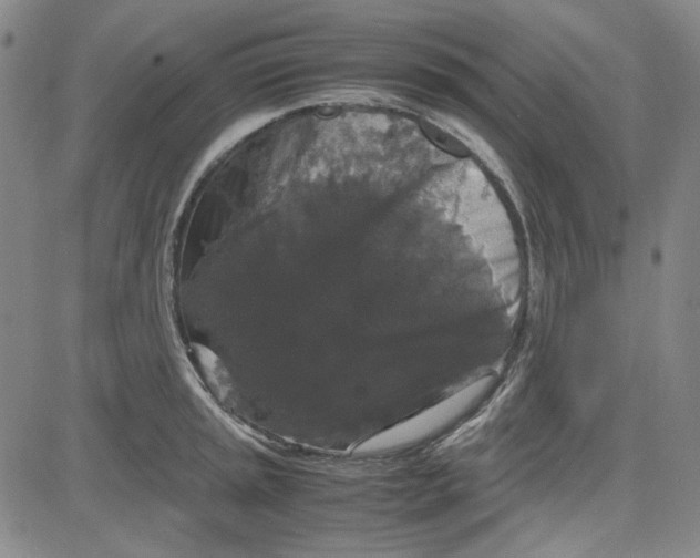 X0000080811045200701051145