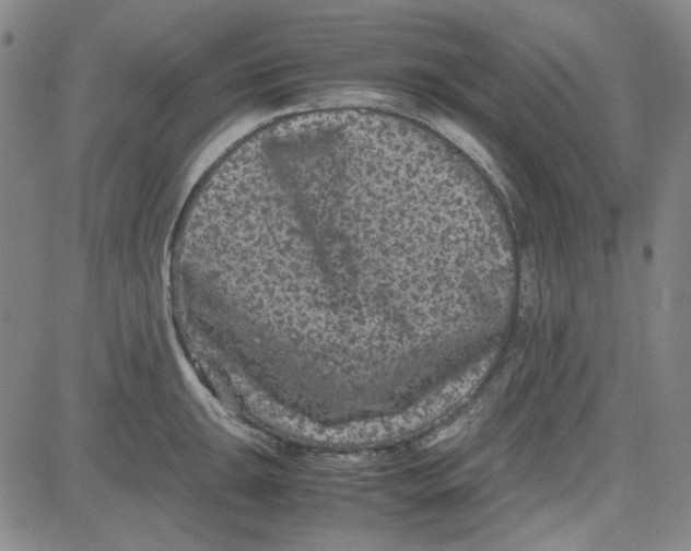 X0000080811047200701051145