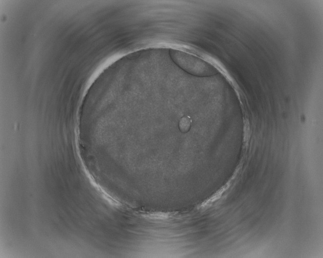 X0000080811048200701051145