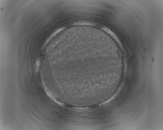 X0000080811049200701051145