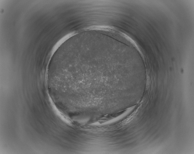 X0000080811050200701051145