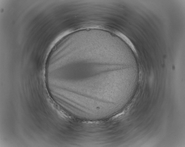 X0000080811051200701051145