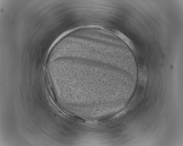 X0000080811052200701051145