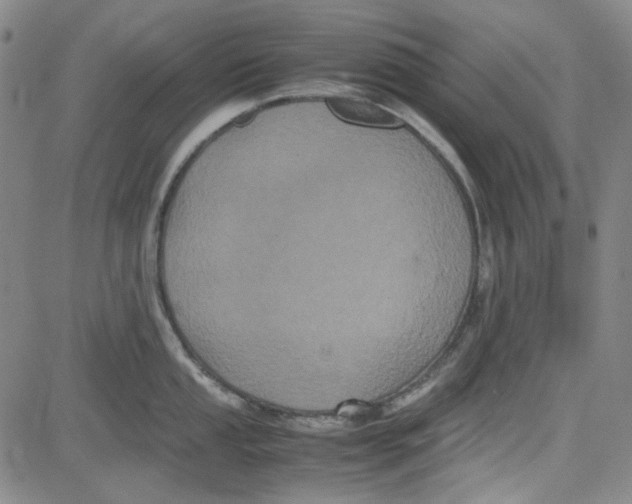 X0000080811053200701051145