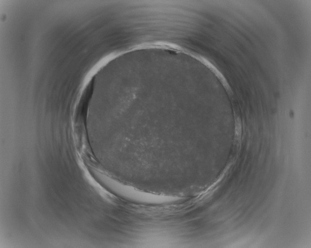 X0000080811054200701051145